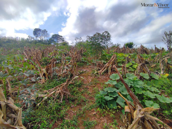 Imagem Chácara à Venda, 3.000 m² em Campestre Da Faxina - São José Dos Pinhais