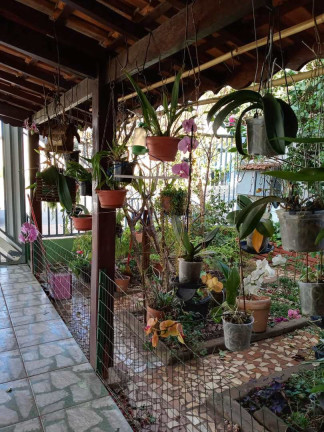 Imagem Casa com 4 Quartos à Venda, em Centro - Pirassununga Imagem Casa com 4 Quartos à Venda, em Centro - Pirassununga