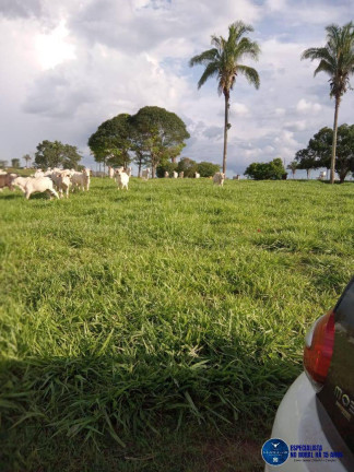 Imagem Fazenda à Venda, 190 m² em Zona Rural - Caldas Novas Imagem Fazenda à Venda, 190 m² em Zona Rural - Caldas Novas