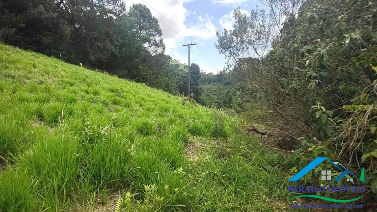 Imagem Chácara à Venda, 20 m² em Centro - Camanducaia