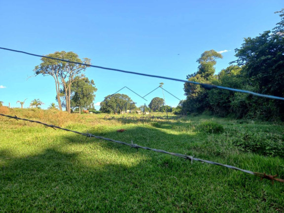 Imagem Fazenda à Venda, 65.340 m² em Bonfim - Pirassununga Imagem Fazenda à Venda, 65.340 m² em Bonfim - Pirassununga