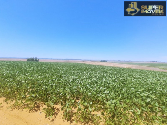 Imagem Imóvel com 3 Quartos à Venda, 21.000.000 m² em área Rural De Cachoeira Do Sul - Cachoeira Do Sul