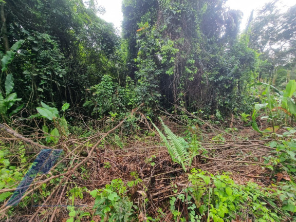 Imagem Terreno à Venda, 518 m² em Itamambuca - Ubatuba Imagem Terreno à Venda, 518 m² em Itamambuca - Ubatuba