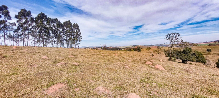 Imagem Terreno à Venda, 21.000 m² em Tuiuti Imagem Terreno à Venda, 21.000 m² em Tuiuti