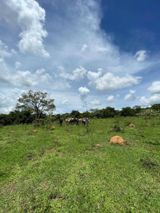 Imagem Fazenda à Venda, 24 m² em Centro - Luziânia