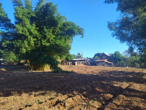 Imagem Chácara com 3 Quartos à Venda, 6.000 m² em Mogi Mirim Imagem Chácara com 3 Quartos à Venda, 6.000 m² em Mogi Mirim