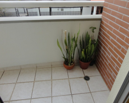 Imagem Apartamento com 3 Quartos à Venda, 89 m² em Vila Monumento - São Paulo Imagem Apartamento com 3 Quartos à Venda, 89 m² em Vila Monumento - São Paulo