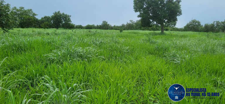 Imagem Fazenda à Venda, 30 m² em Setor Central - Crixás Imagem Fazenda à Venda, 30 m² em Setor Central - Crixás