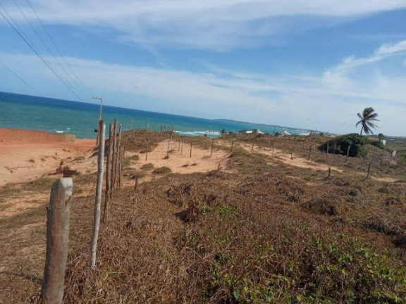 Imagem Terreno à Venda, 900 m² em Tibau Do Sul Imagem Terreno à Venda, 900 m² em Tibau Do Sul