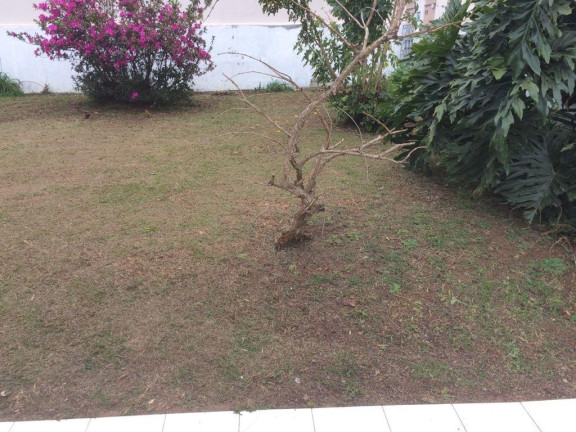 Imagem Terreno à Venda, 800 m² em Centro - Irati Imagem Terreno à Venda, 800 m² em Centro - Irati
