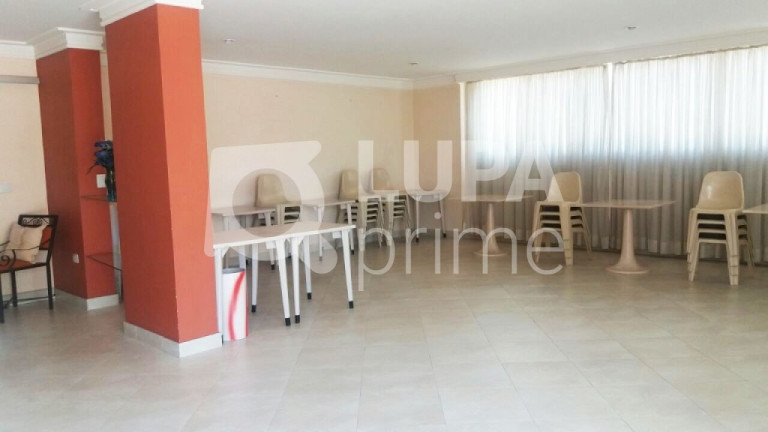 Imagem Apartamento com 3 Quartos à Venda, 110 m² em Vila Paulicéia - São Paulo Imagem Apartamento com 3 Quartos à Venda, 110 m² em Vila Paulicéia - São Paulo