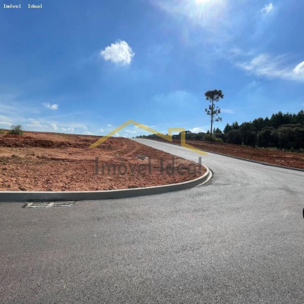 Imagem Terreno à Venda, 230 m² em Costeira - Araucária Imagem Terreno à Venda, 230 m² em Costeira - Araucária