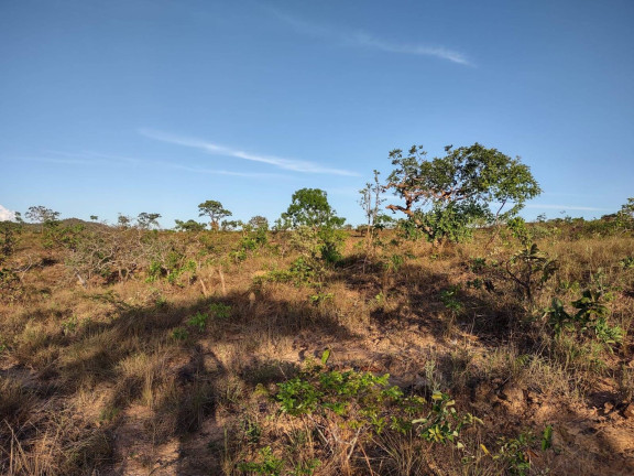 Imagem Fazenda à Venda, 1.046 m² em Arinos - Arinos
