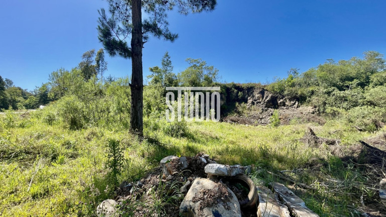 Imagem Terreno à Venda, 11.990 m² em Operário - Barão Imagem Terreno à Venda, 11.990 m² em Operário - Barão