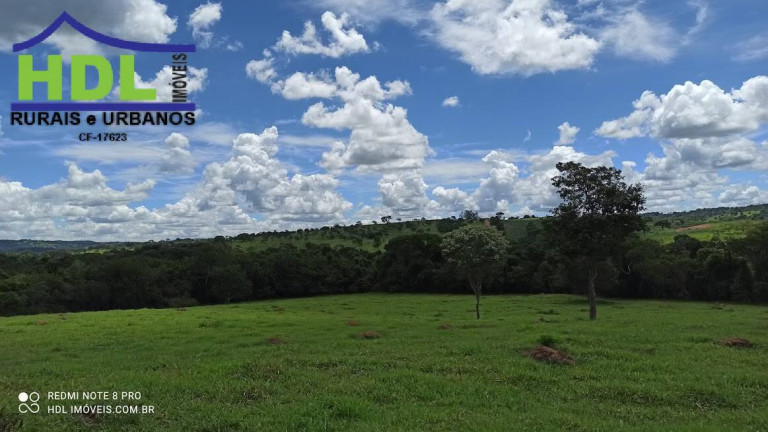 Imagem Fazenda à Venda, 21 m² em Zona Rural - Hidrolândia Imagem Fazenda à Venda, 21 m² em Zona Rural - Hidrolândia