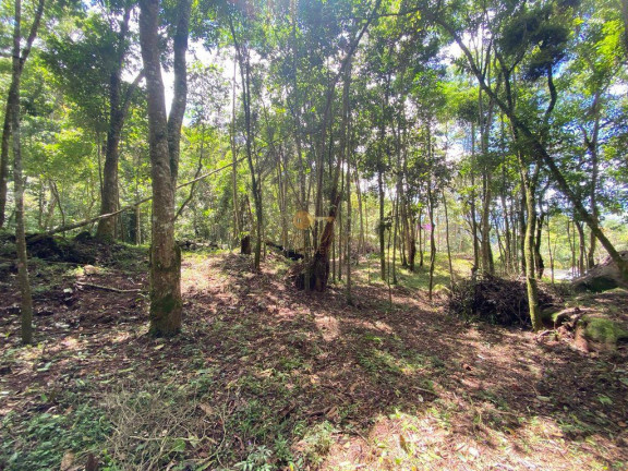 Imagem Terreno à Venda, 4.000 m² em Parque Do Imbui - Teresópolis Imagem Terreno à Venda, 4.000 m² em Parque Do Imbui - Teresópolis