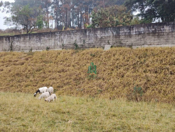 Imagem Terreno à Venda, 6.082 m² em Itaquera - São Paulo Imagem Terreno à Venda, 6.082 m² em Itaquera - São Paulo