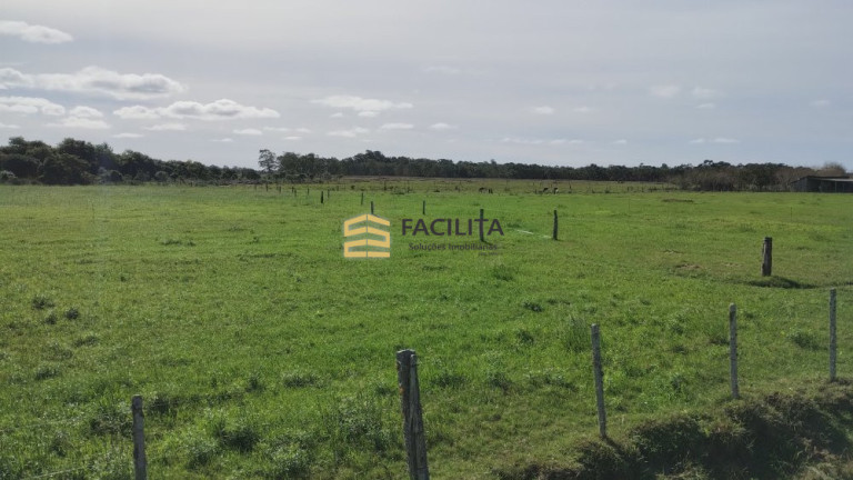 Imagem Imóvel com 2 Quartos à Venda, 470.000 m² em Quinta - Rio Grande Imagem Imóvel com 2 Quartos à Venda, 470.000 m² em Quinta - Rio Grande