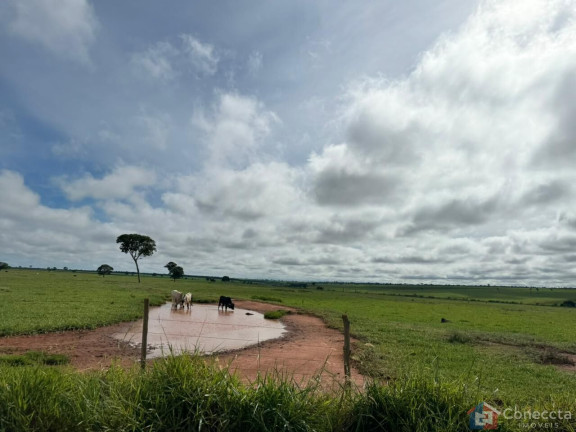 Imagem Imóvel à Venda, 1.800.900 m² em Centro - Carneirinho Imagem Imóvel à Venda, 1.800.900 m² em Centro - Carneirinho