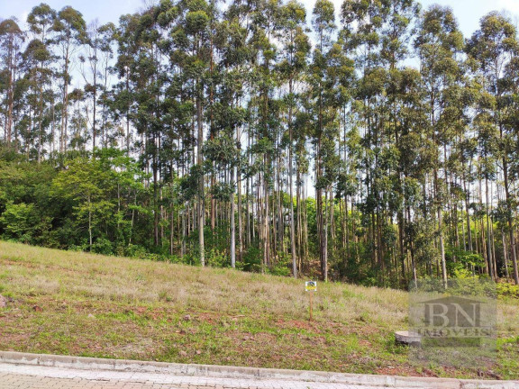 Imagem Terreno à Venda, 308 m² em Linha Santa Cruz - Santa Cruz Do Sul Imagem Terreno à Venda, 308 m² em Linha Santa Cruz - Santa Cruz Do Sul