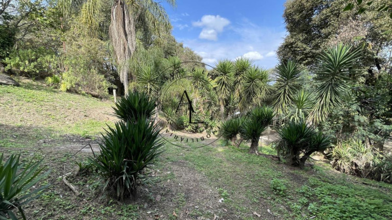 Imagem Chácara com 3 Quartos à Venda, 1.686 m² em Jardim Monte Belo - Campinas