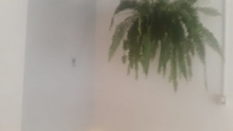 Imagem Casa com 2 Quartos à Venda, 47 m² em Eugênio De Mello - São José Dos Campos