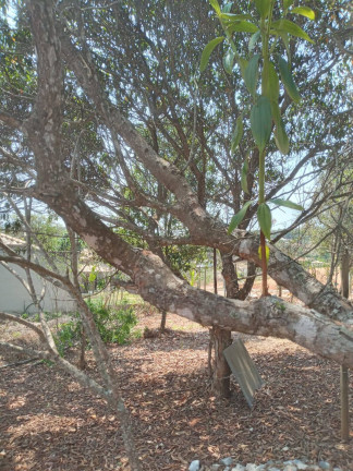 Imagem Chácara à Venda, 1.999 m² em Condomínio Tiradentes - Brumadinho
