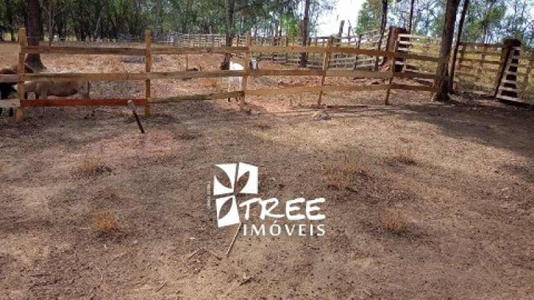 Imagem Imóvel com 3 Quartos à Venda, 3.200 m² em Pouso Alegre - Santa Isabel Imagem Imóvel com 3 Quartos à Venda, 3.200 m² em Pouso Alegre - Santa Isabel