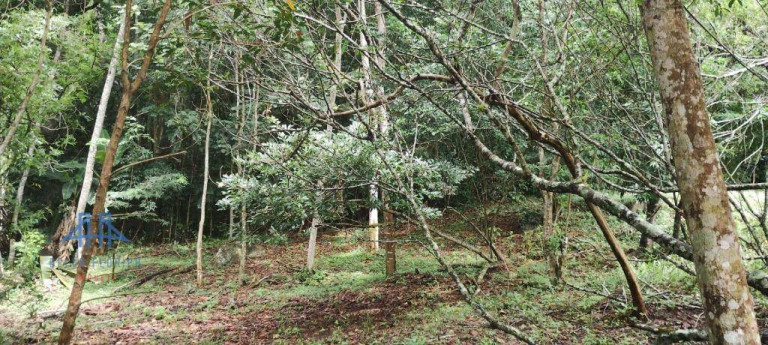 Imagem Terreno à Venda, 471 m² em Córrego Grande - Florianópolis