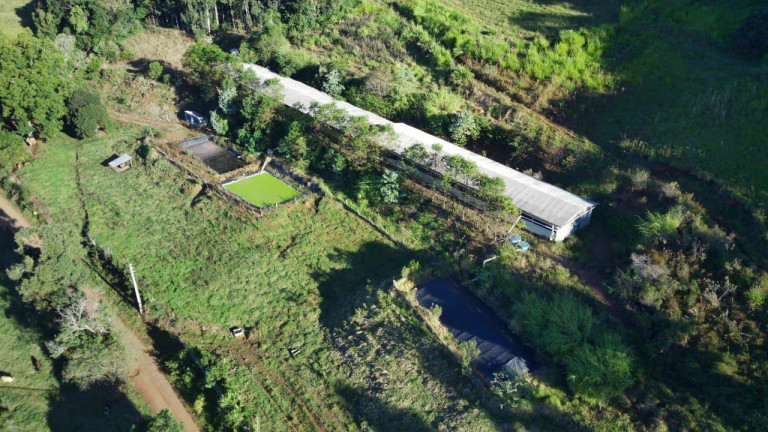 Imagem Terreno à Venda, 224.000 m² em Interior - Concórdia Imagem Terreno à Venda, 224.000 m² em Interior - Concórdia