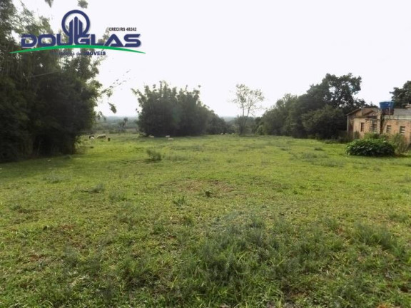 Imagem Imóvel Comercial à Venda, 1.000 m² em águas Claras - Viamão