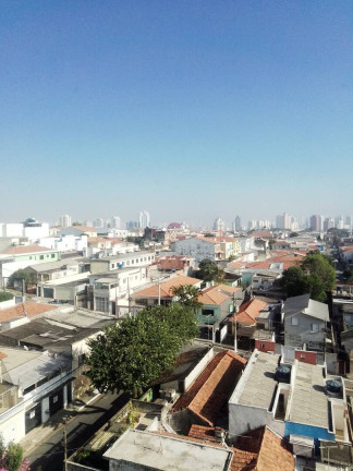 Imagem Apartamento com 2 Quartos à Venda, 51 m² em Vila Lúcia - São Paulo Imagem Apartamento com 2 Quartos à Venda, 51 m² em Vila Lúcia - São Paulo