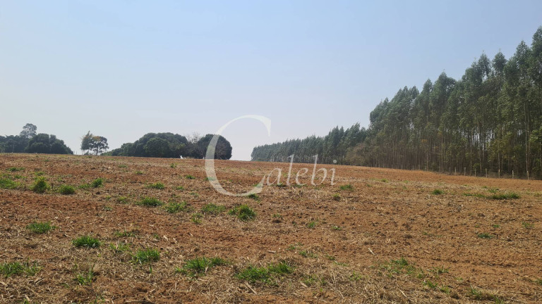 Imagem Chácara com 3 Quartos à Venda, 10 m² em área Rural De Mogi Mirim - Moji Mirim Imagem Chácara com 3 Quartos à Venda, 10 m² em área Rural De Mogi Mirim - Moji Mirim