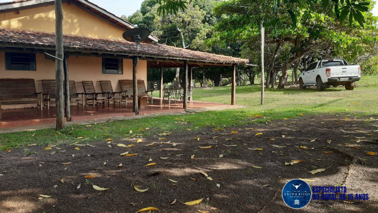Imagem Fazenda à Venda, 75 m² em Zona Rural - Mozarlândia Imagem Fazenda à Venda, 75 m² em Zona Rural - Mozarlândia