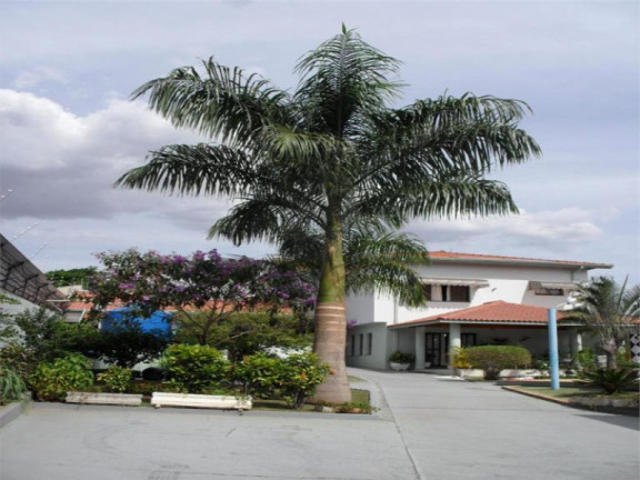 Imagem Casa com 4 Quartos à Venda, 800 m² em Jardim Santa Madalena - Sumaré Imagem Casa com 4 Quartos à Venda, 800 m² em Jardim Santa Madalena - Sumaré