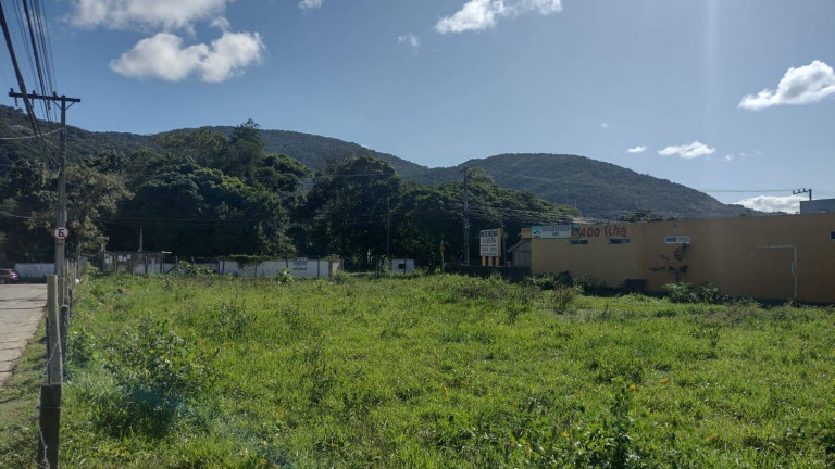 Imagem Terreno à Venda ou Locação, 1.700 m² em São João Do Rio Vermelho - Florianópolis Imagem Terreno à Venda ou Locação, 1.700 m² em São João Do Rio Vermelho - Florianópolis