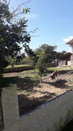 Imagem Imóvel com 3 Quartos à Venda, 26.105 m² em Ribeirãozinho - Agudos Do Sul Imagem Imóvel com 3 Quartos à Venda, 26.105 m² em Ribeirãozinho - Agudos Do Sul