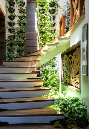 Imagem Casa com 4 Quartos à Venda, 20.002 m² em Vila De São Fernando - Cotia Imagem Casa com 4 Quartos à Venda, 20.002 m² em Vila De São Fernando - Cotia