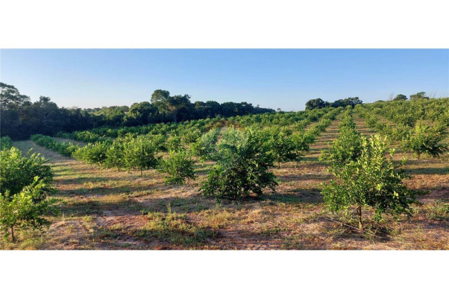 Imagem Imóvel à Venda, 200.000 m² em Bacaxa - Saquarema
