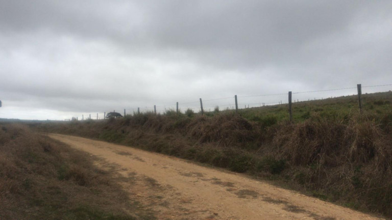 Imagem Fazenda à Venda, 59 m² em Rural - São Miguel Arcanjo