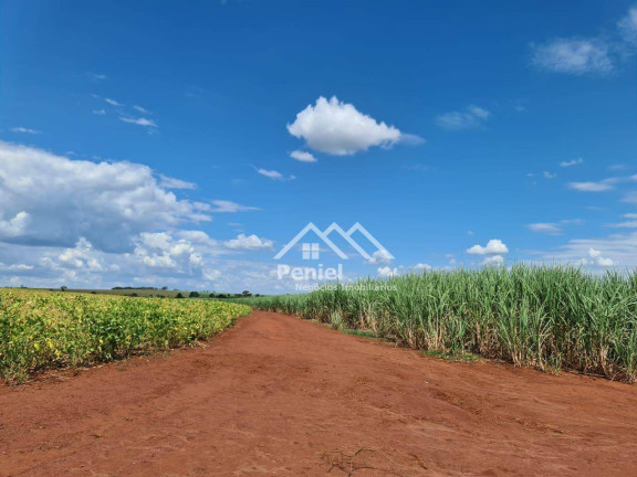 Imagem Fazenda à Venda, 500 m² em Luis Antonio - Luís Antônio Imagem Fazenda à Venda, 500 m² em Luis Antonio - Luís Antônio