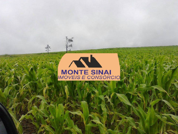 Imagem Fazenda à Venda, 59 m² em Centro - Guareí