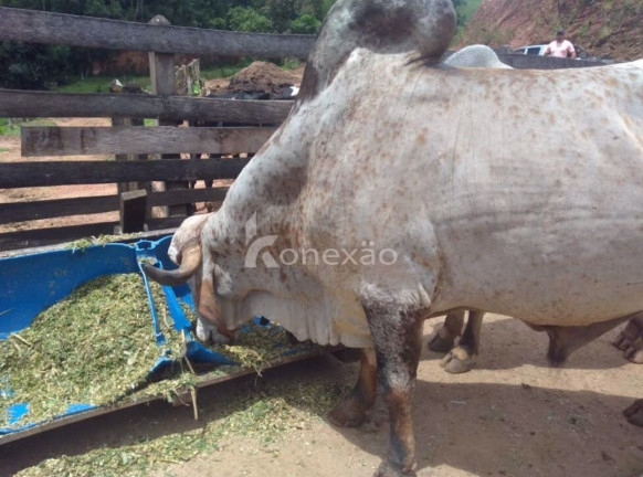 Imagem Fazenda à Venda, 100 m² em Borda Do Campo - Cunha Imagem Fazenda à Venda, 100 m² em Borda Do Campo - Cunha