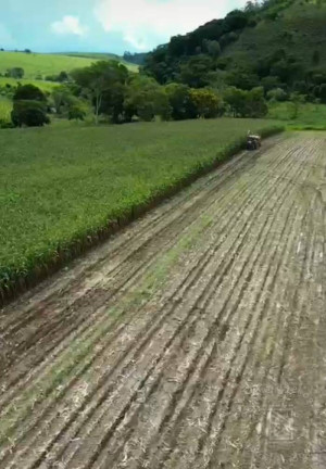 Imagem Fazenda à Venda, 530 m² em Centro - Cruzeiro Imagem Fazenda à Venda, 530 m² em Centro - Cruzeiro