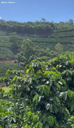Imagem Fazenda à Venda, 11 m² em Manhumirim