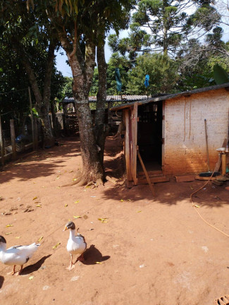 Imagem Chácara com 2 Quartos à Venda, 1.400 m² em Jardim Cananéia - Pilar Do Sul Imagem Chácara com 2 Quartos à Venda, 1.400 m² em Jardim Cananéia - Pilar Do Sul