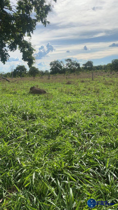 Imagem Chácara à Venda, 20 m² em Zona Rural - Pontal Do Araguaia Imagem Chácara à Venda, 20 m² em Zona Rural - Pontal Do Araguaia