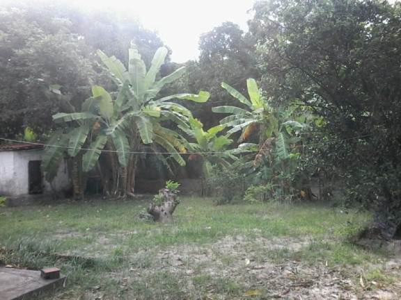 Imagem Imóvel com 4 Quartos à Venda, 4.200 m² em Cágado - Maracanaú Imagem Imóvel com 4 Quartos à Venda, 4.200 m² em Cágado - Maracanaú