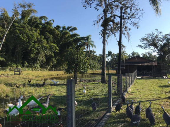 Imagem Chácara com 4 Quartos à Venda, 300 m² em Pinheiros - Balneário Barra Do Sul Imagem Chácara com 4 Quartos à Venda, 300 m² em Pinheiros - Balneário Barra Do Sul