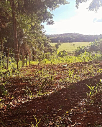Imagem Chácara à Venda, 29.000 m² em área Rural De Luziânia - Luziânia Imagem Chácara à Venda, 29.000 m² em área Rural De Luziânia - Luziânia